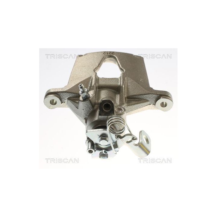 Stabdžių apkaba TRISCAN 8175 25213