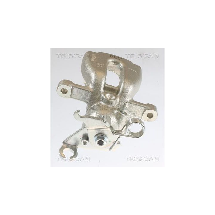 Stabdžių apkaba TRISCAN 8175 42203