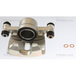 Stabdžių apkaba TRISCAN 8175 43101