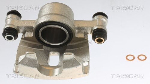 Stabdžių apkaba TRISCAN 8175 43101