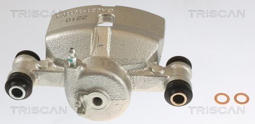 Stabdžių apkaba TRISCAN 8175 43101