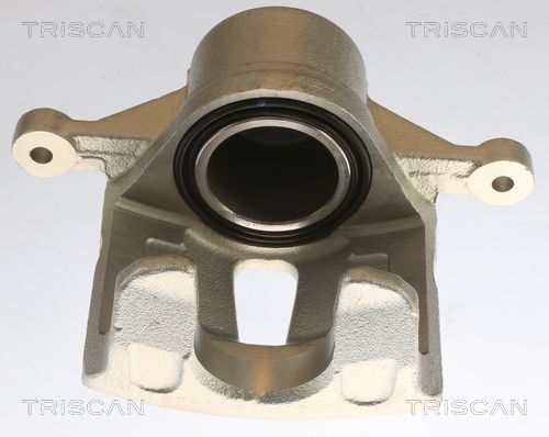 Stabdžių apkaba TRISCAN 8175 43104