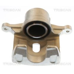 Stabdžių apkaba TRISCAN 8175 43134