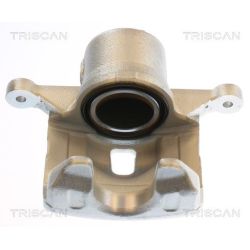 Stabdžių apkaba TRISCAN 8175 43135