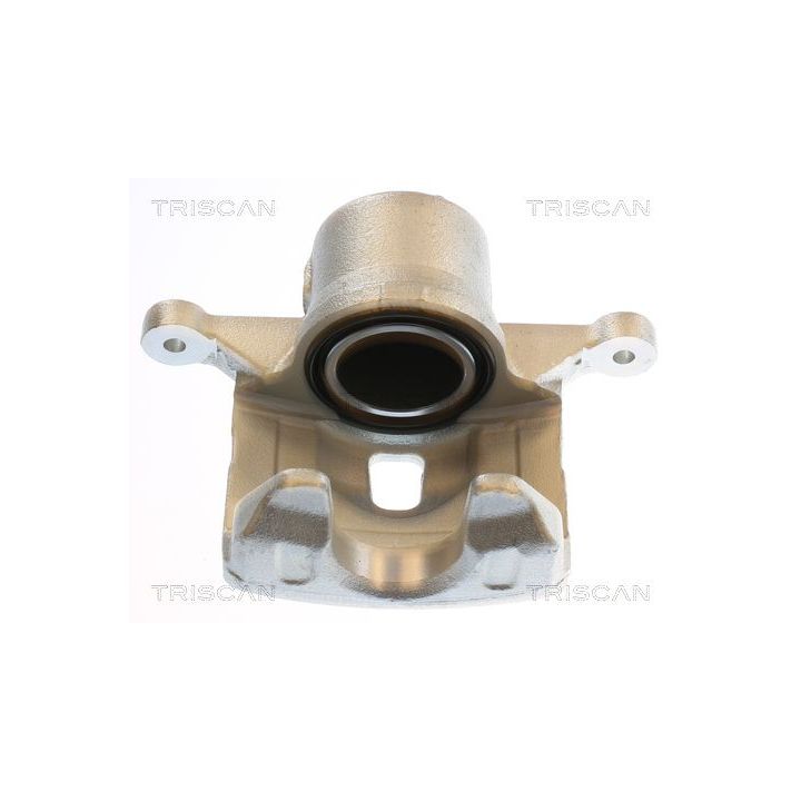 Stabdžių apkaba TRISCAN 8175 43135