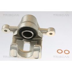 Stabdžių apkaba TRISCAN 8175 43205