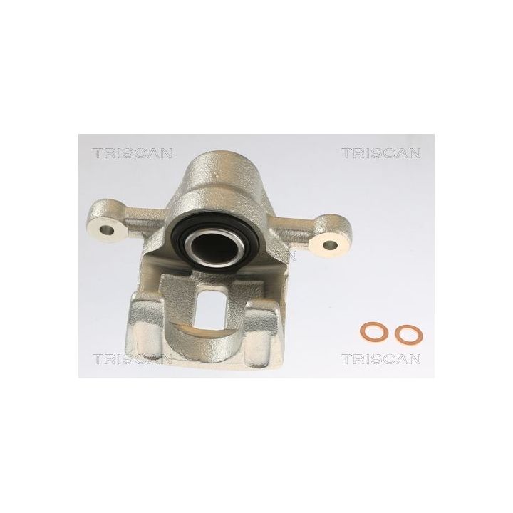 Stabdžių apkaba TRISCAN 8175 43205