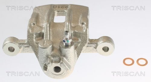 Stabdžių apkaba TRISCAN 8175 43205