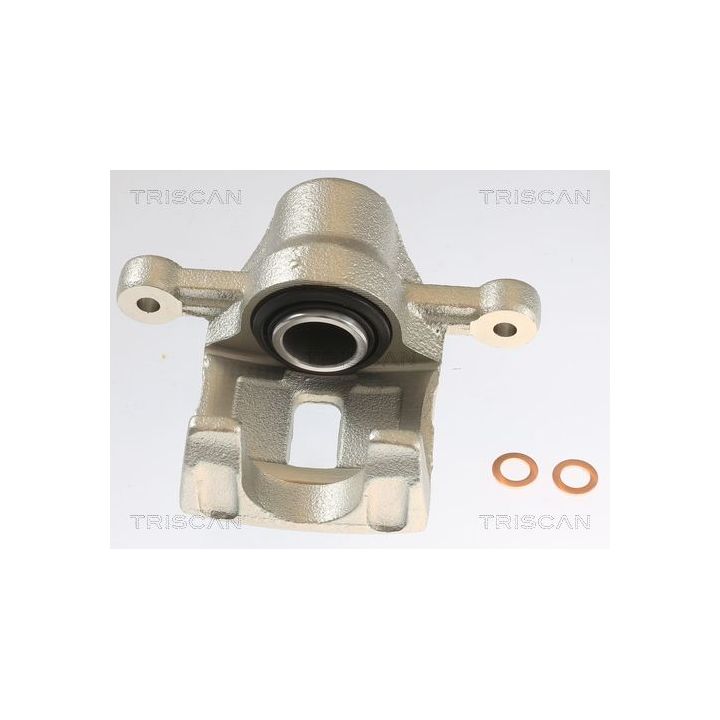 Stabdžių apkaba TRISCAN 8175 43206