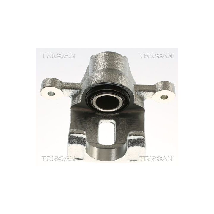 Stabdžių apkaba TRISCAN 8175 43209