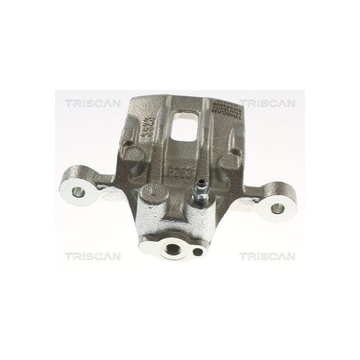 Stabdžių apkaba TRISCAN 8175 43209