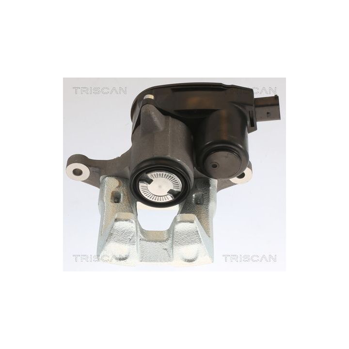 Stabdžių apkaba TRISCAN 8175 43213