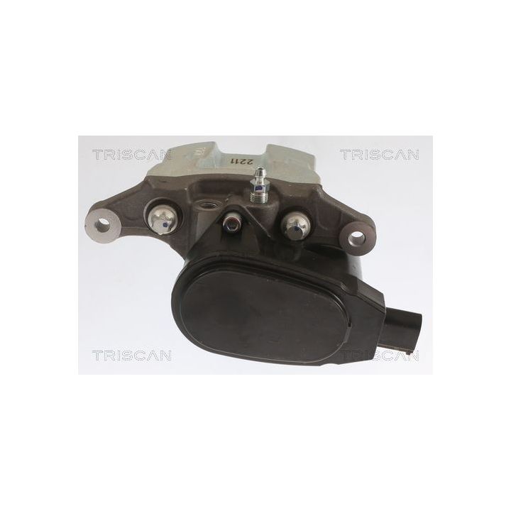 Stabdžių apkaba TRISCAN 8175 43213