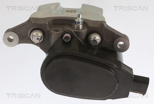 Stabdžių apkaba TRISCAN 8175 43213