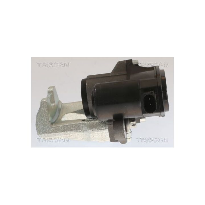 Stabdžių apkaba TRISCAN 8175 43213