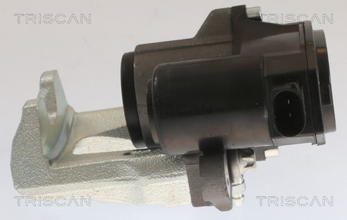 Stabdžių apkaba TRISCAN 8175 43213