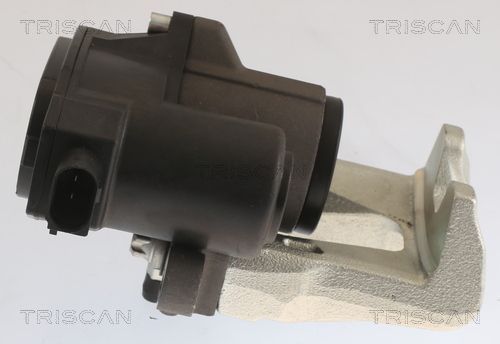 Stabdžių apkaba TRISCAN 8175 43214