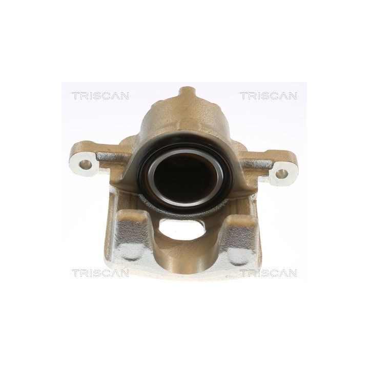 Stabdžių apkaba TRISCAN 8175 43247