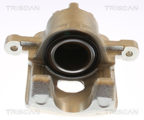 Stabdžių apkaba TRISCAN 8175 43247