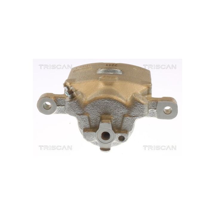 Stabdžių apkaba TRISCAN 8175 43247