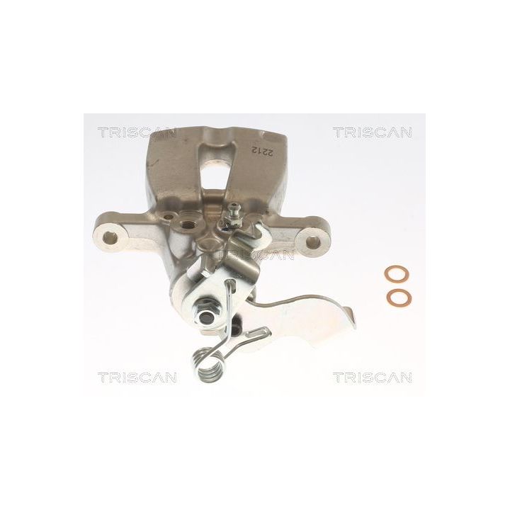 Stabdžių apkaba TRISCAN 8175 43249