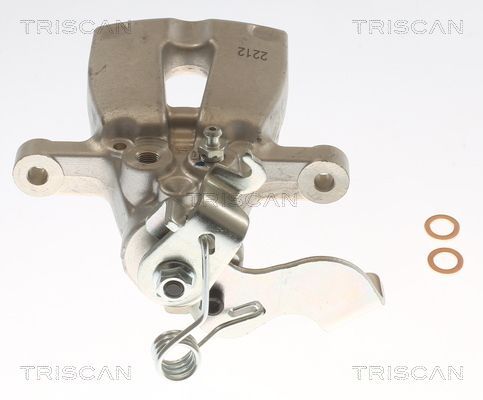 Stabdžių apkaba TRISCAN 8175 43249