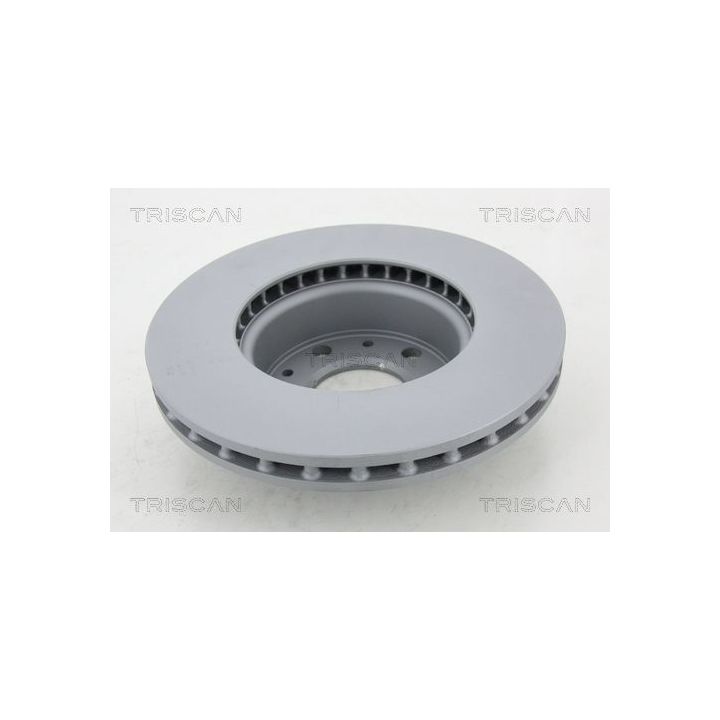 Stabdžių diskas TRISCAN 8120 101005C