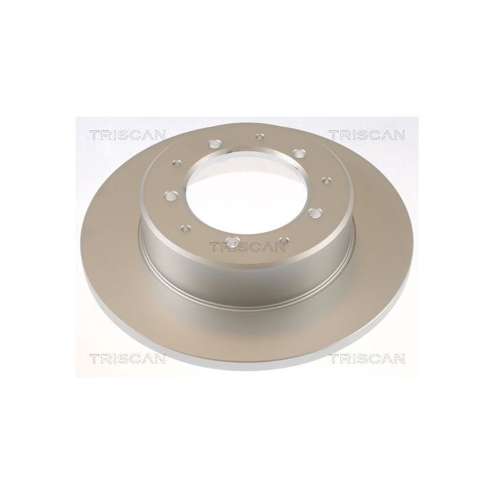 Stabdžių diskas TRISCAN 8120 17113C