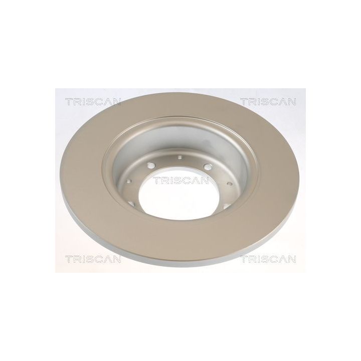 Stabdžių diskas TRISCAN 8120 17113C