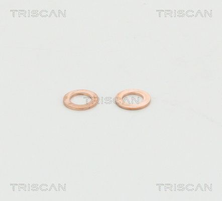 Stabdžių žarnelė TRISCAN 8150 11105