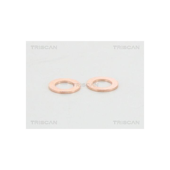 Stabdžių žarnelė TRISCAN 8150 11214