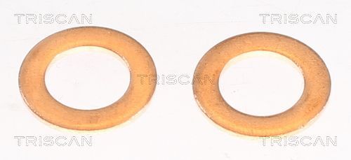 Stabdžių žarnelė TRISCAN 8150 131009