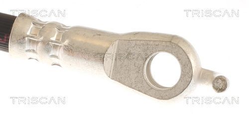 Stabdžių žarnelė TRISCAN 8150 13258