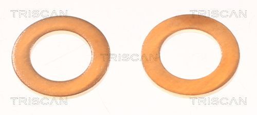 Stabdžių žarnelė TRISCAN 8150 14115