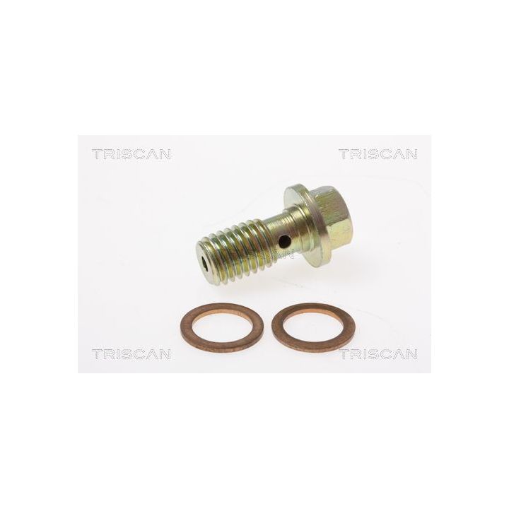 Stabdžių žarnelė TRISCAN 8150 16308