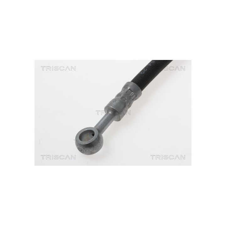 Stabdžių žarnelė TRISCAN 8150 17108