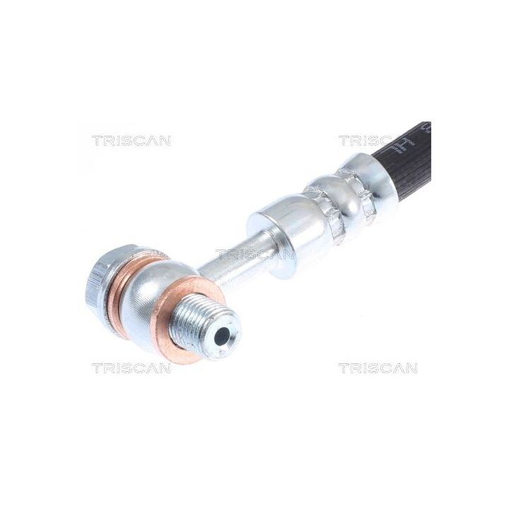 Stabdžių žarnelė TRISCAN 8150 17110
