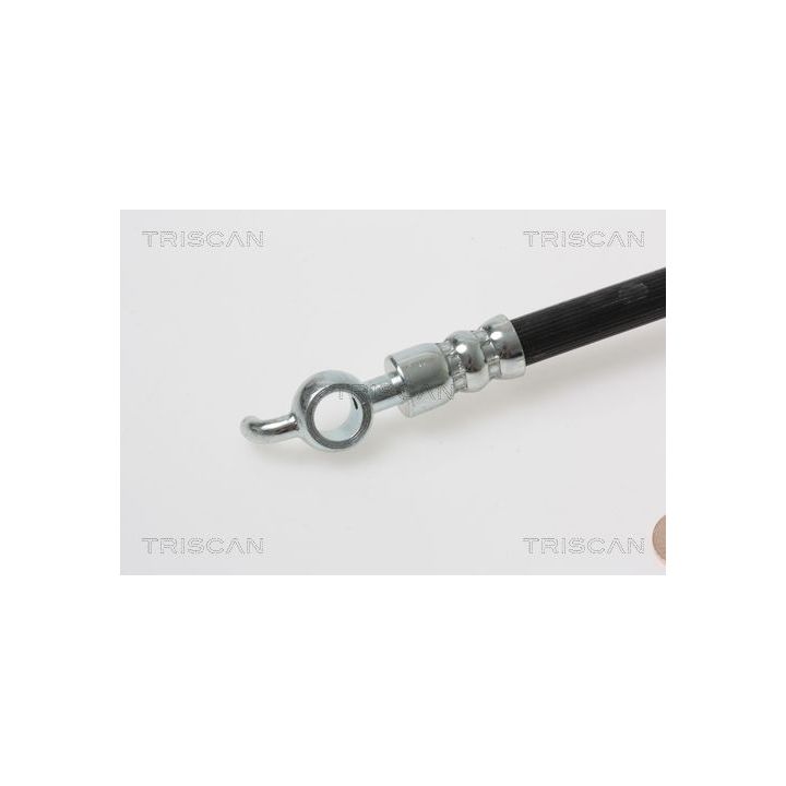 Stabdžių žarnelė TRISCAN 8150 18163