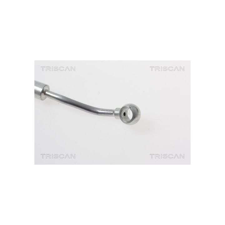 Stabdžių žarnelė TRISCAN 8150 18173