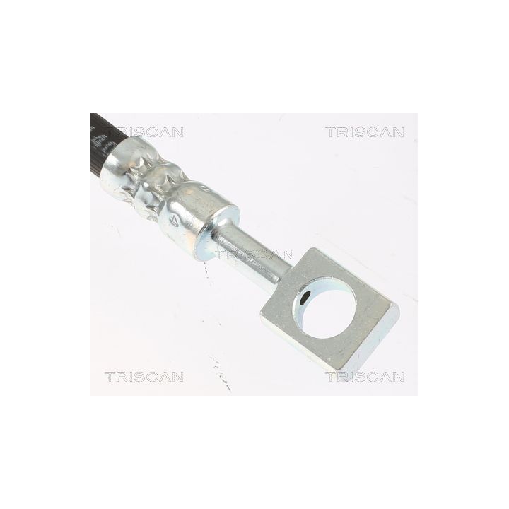 Stabdžių žarnelė TRISCAN 8150 29361