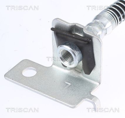 Stabdžių žarnelė TRISCAN 8150 43119