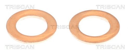 Stabdžių žarnelė TRISCAN 8150 432013