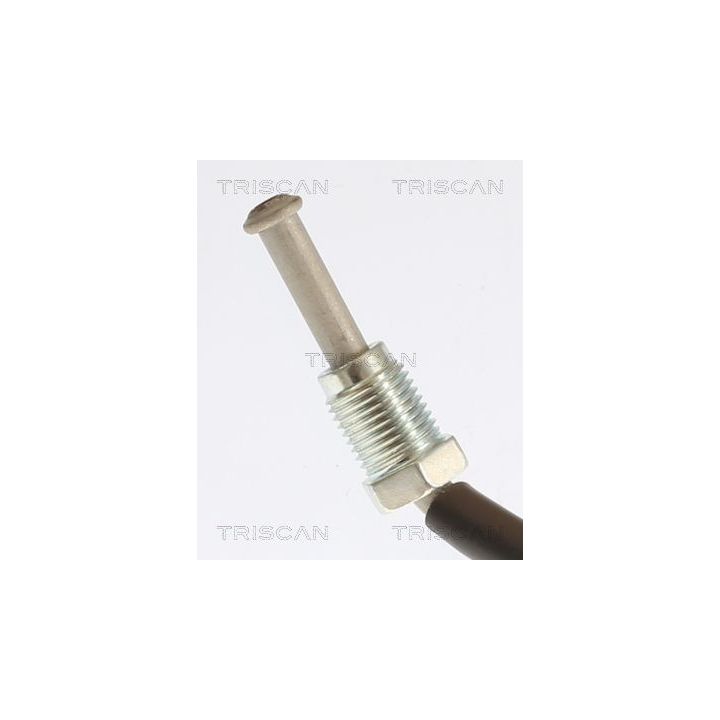 Stabdžių žarnelė TRISCAN 8150 432020