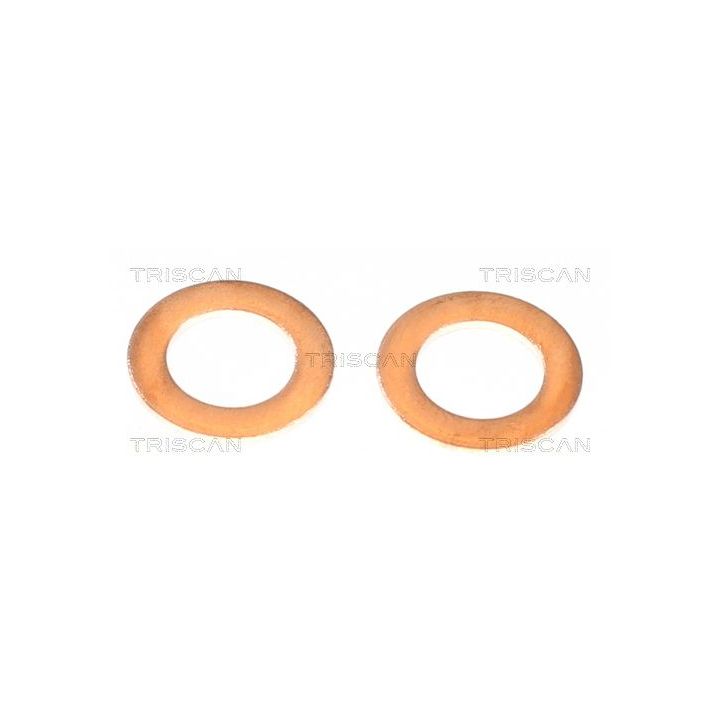 Stabdžių žarnelė TRISCAN 8150 432021