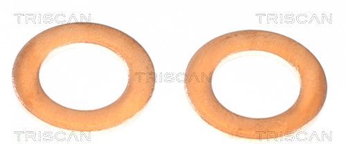 Stabdžių žarnelė TRISCAN 8150 432021