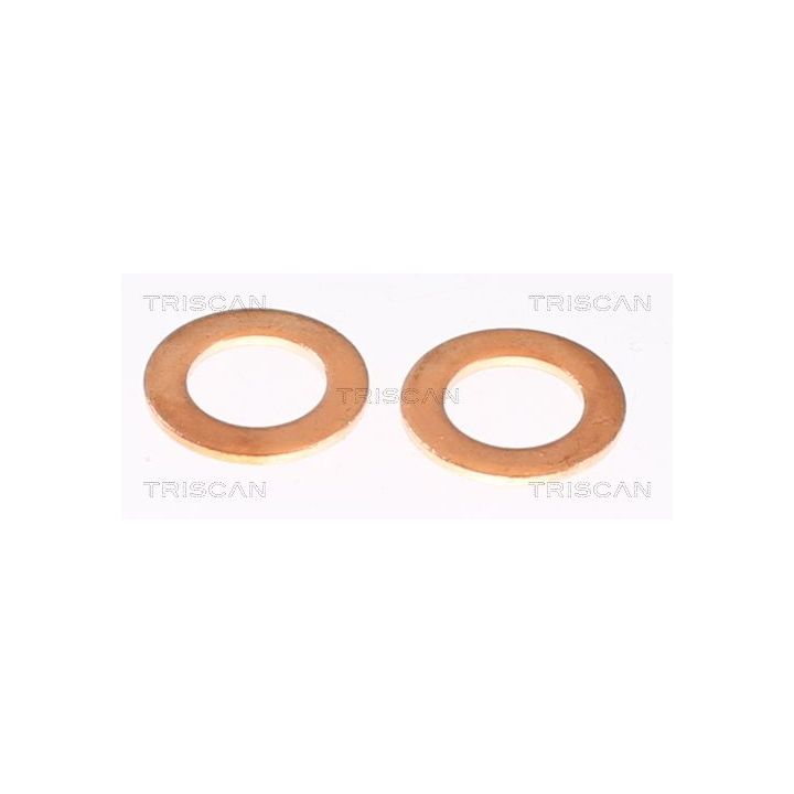 Stabdžių žarnelė TRISCAN 8150 432022