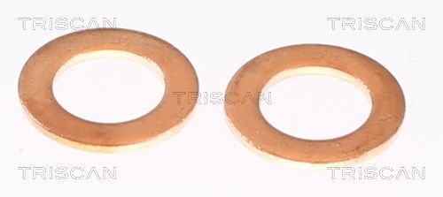 Stabdžių žarnelė TRISCAN 8150 432022