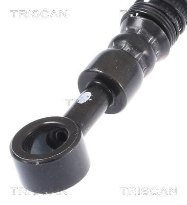 Stabdžių žarnelė TRISCAN 8150 43276