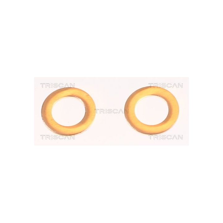 Stabdžių žarnelė TRISCAN 8150 50141