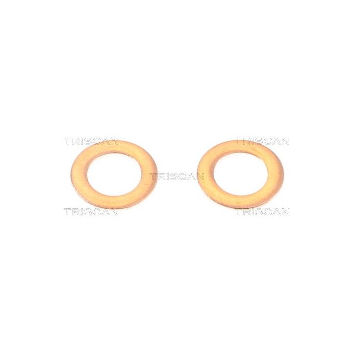 Stabdžių žarnelė TRISCAN 8150 50144